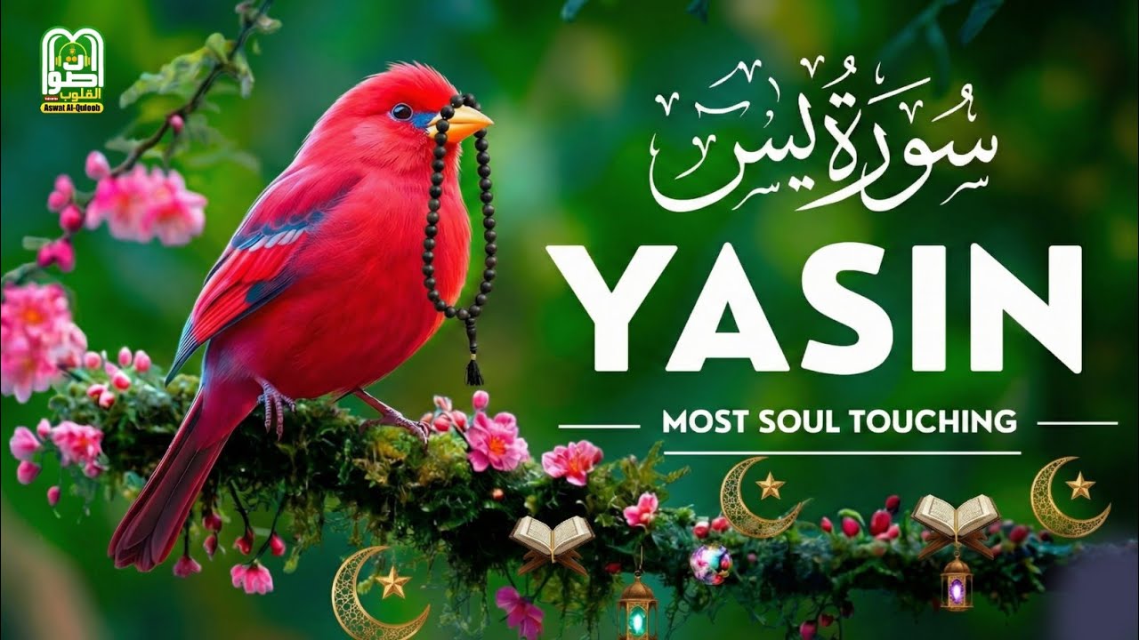 Surah Yasin BEAUTIFUL RECITAION Ramadan 2026 Special | Prepare Your Heart for Forgiveness