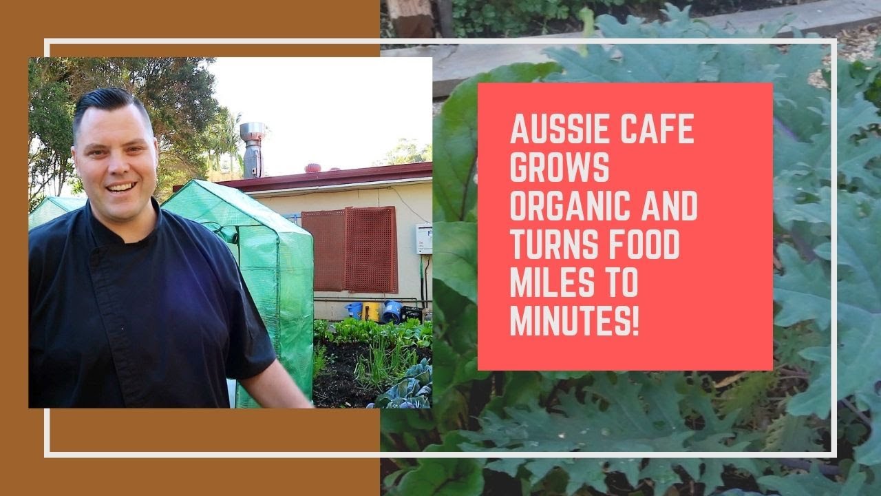 Aussie Cafe GROWS Organic & TURNS FOOD MILES TO MINUTES!