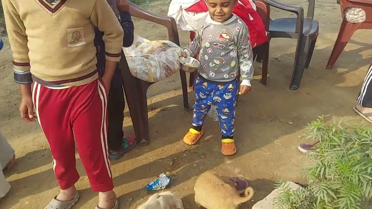 Fun with Dog Puppies🐕🐶|| Darsh ne kiya fun 😊🐕🐕