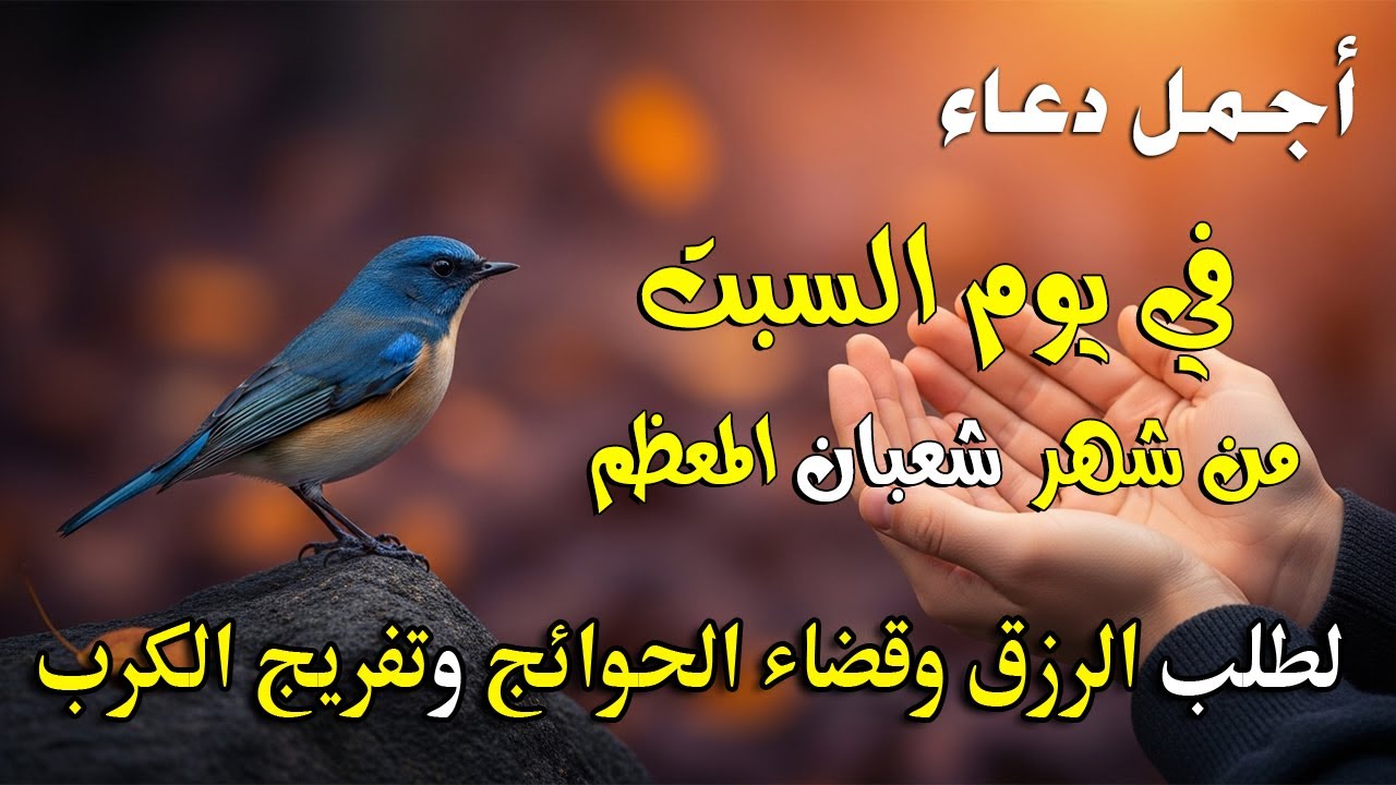 دعاء فى يوم السبت المستجاب دعاء في يوم 19 من شهر شعبان للرزق والشفاء العاجل وقضاء الحوائج 🤲(4k)