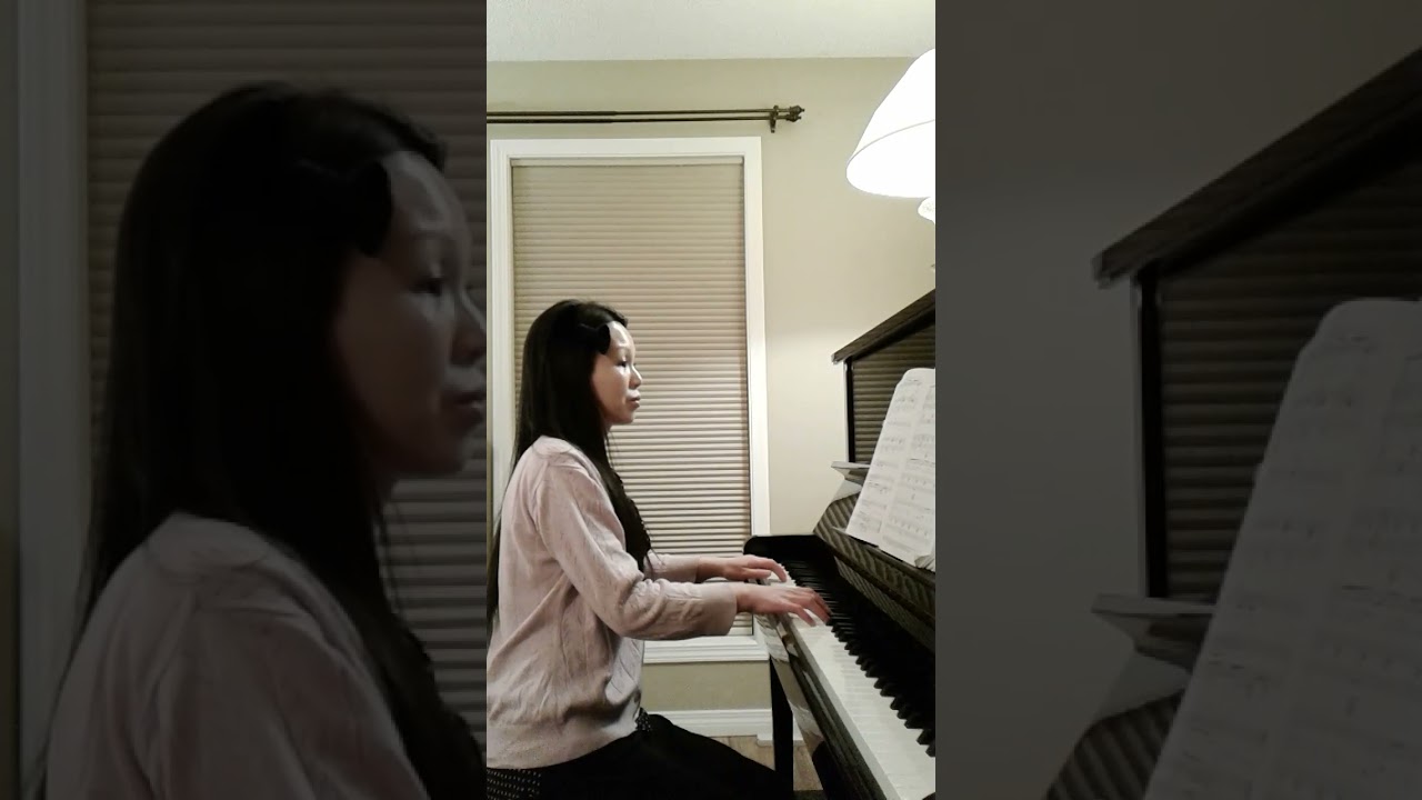 Haven&rsquo;t Met You Yet - Michael Bubl&eacute; - (Piano cover)