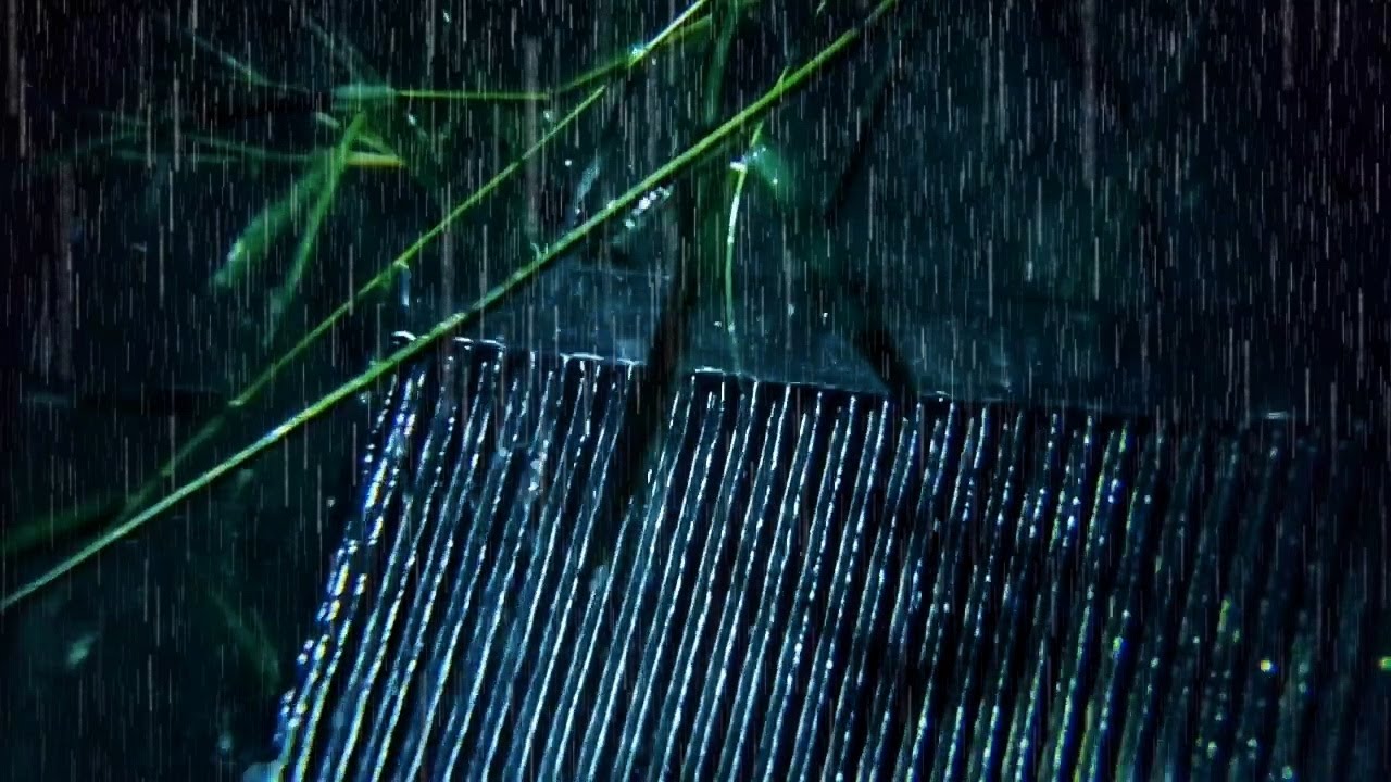 Heavy Rain and Thunderstorm for Insomnia: Relaxing Ambience to Calm Your Mind and Sleep
