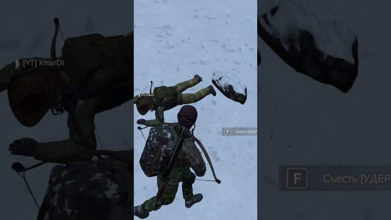 Стреляют по нам  #dayz #dayzcommunity #dayzgameplay  #дэйз  #дэйзи