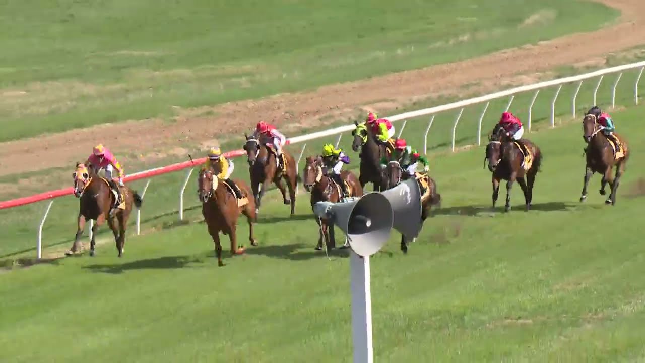 Goondiwindi 20260221 Race 4