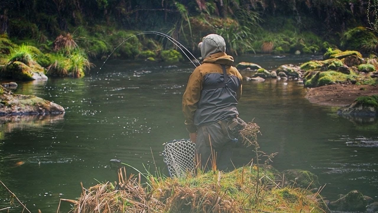 SIGHT FISHING to WILD Rainbow Trout!!