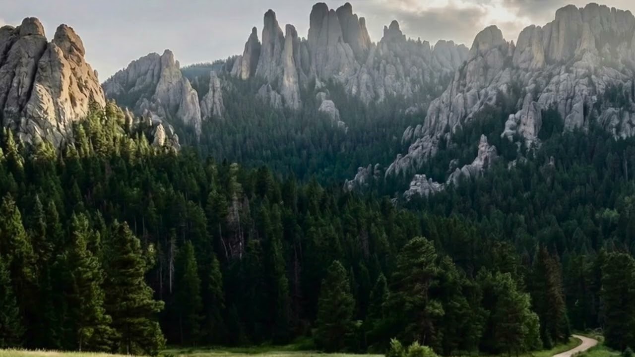 Black Hills