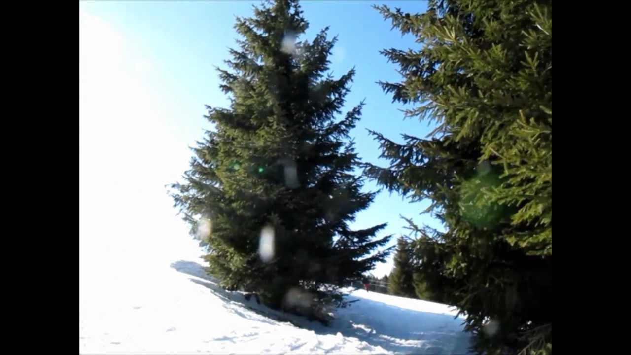 LVK 23 Libor vytlacil Kosnaca