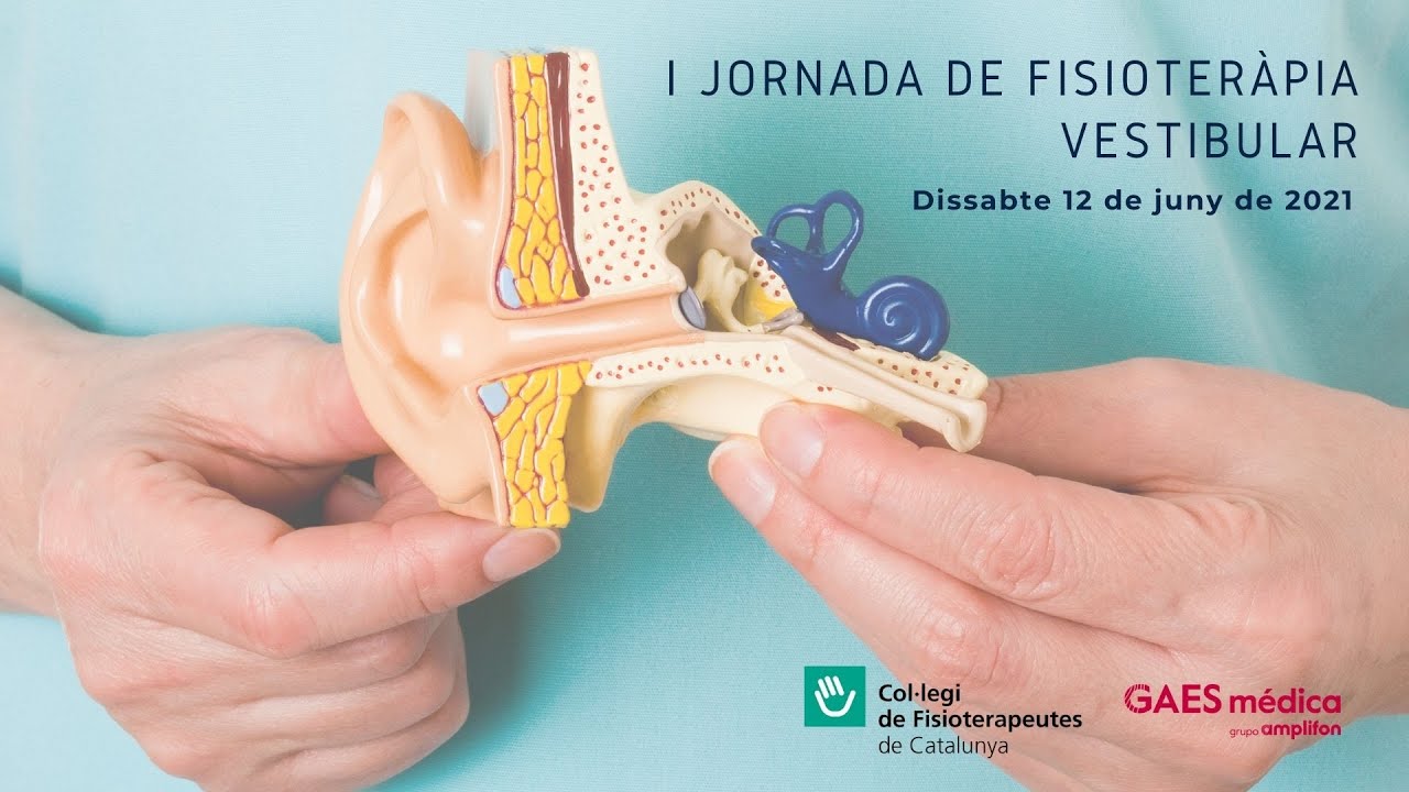 Jornada de Fisioteràpia vestibular