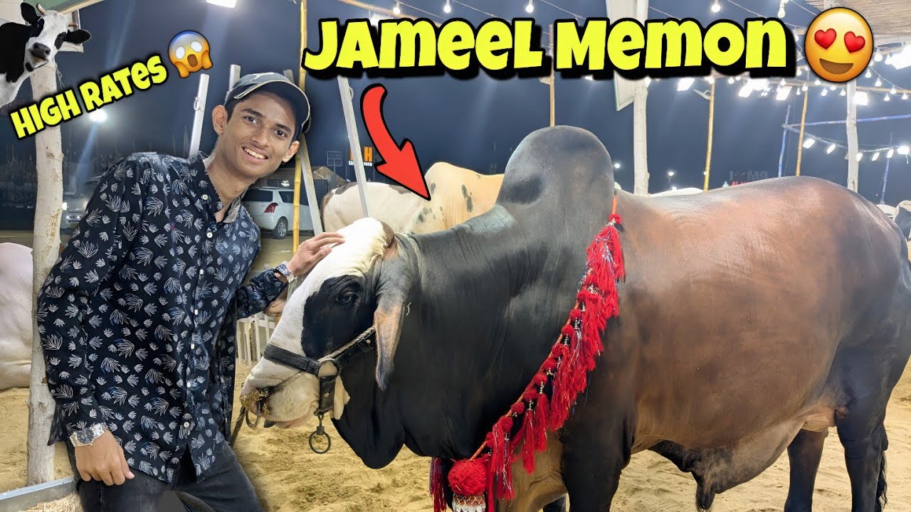 25 Lac Ka Bachra 🤯 | Cow Mandi 2025 😍 | Waris Vlogs