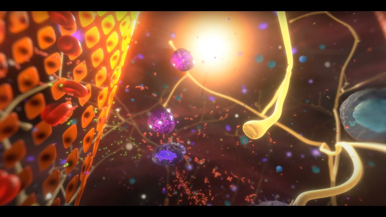 360 Video - Medical visualisation in Unity - Understanding the physiology of pain sensitisation