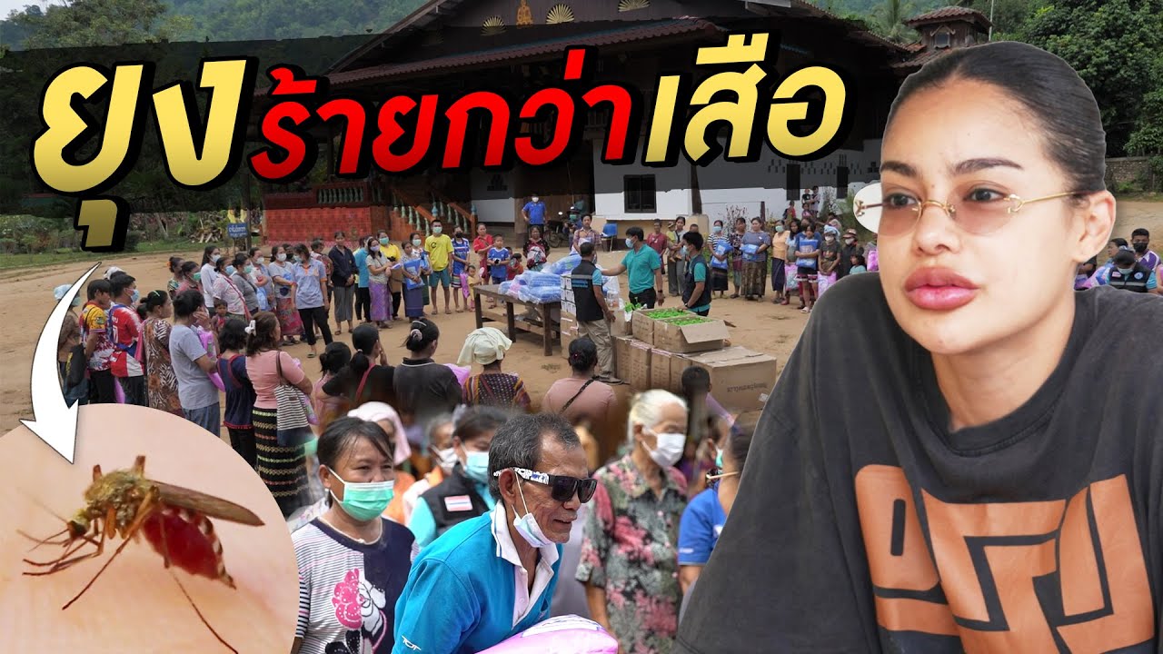 ยุงร้ายกว่าเสือ