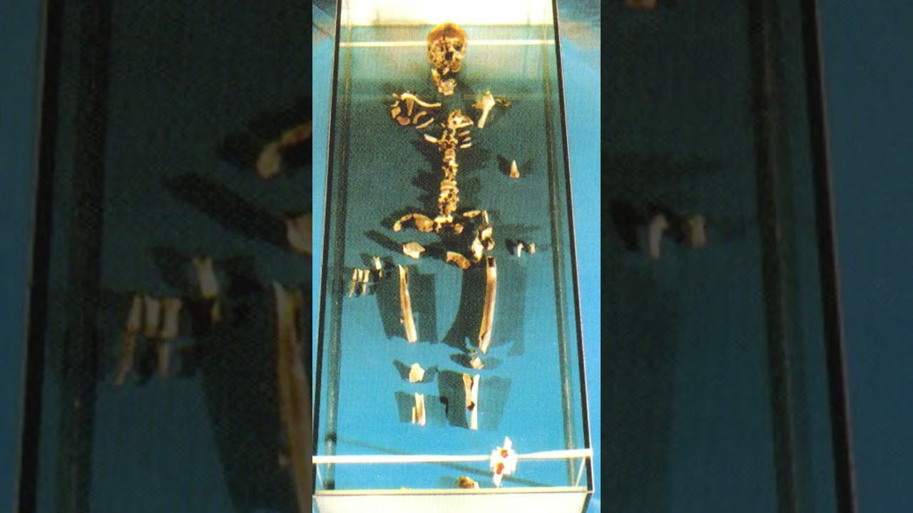 Catholic Relics part 2 #history #relics #catholic