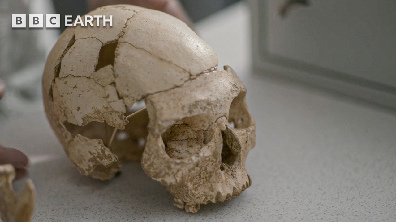 Scientists Shocked By Hybrid Human Fossils | Human | BBC Earth Science