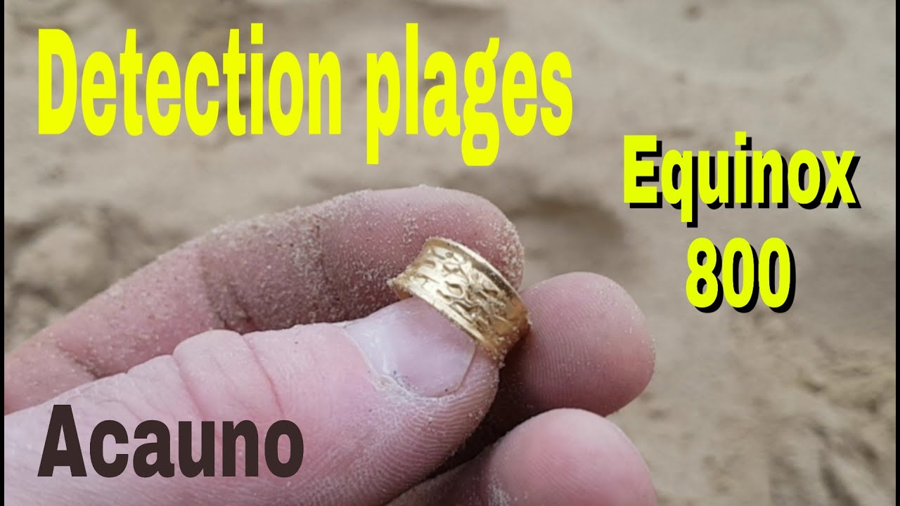 Detection sur les plages . Equinox 800