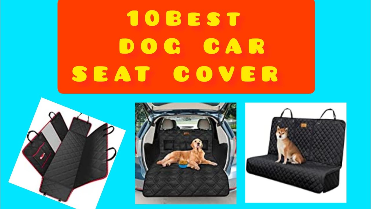 10 Best Dog Seat Cover/Dog Car Boot Liner Protector on Amazon (don't buy before Watching)