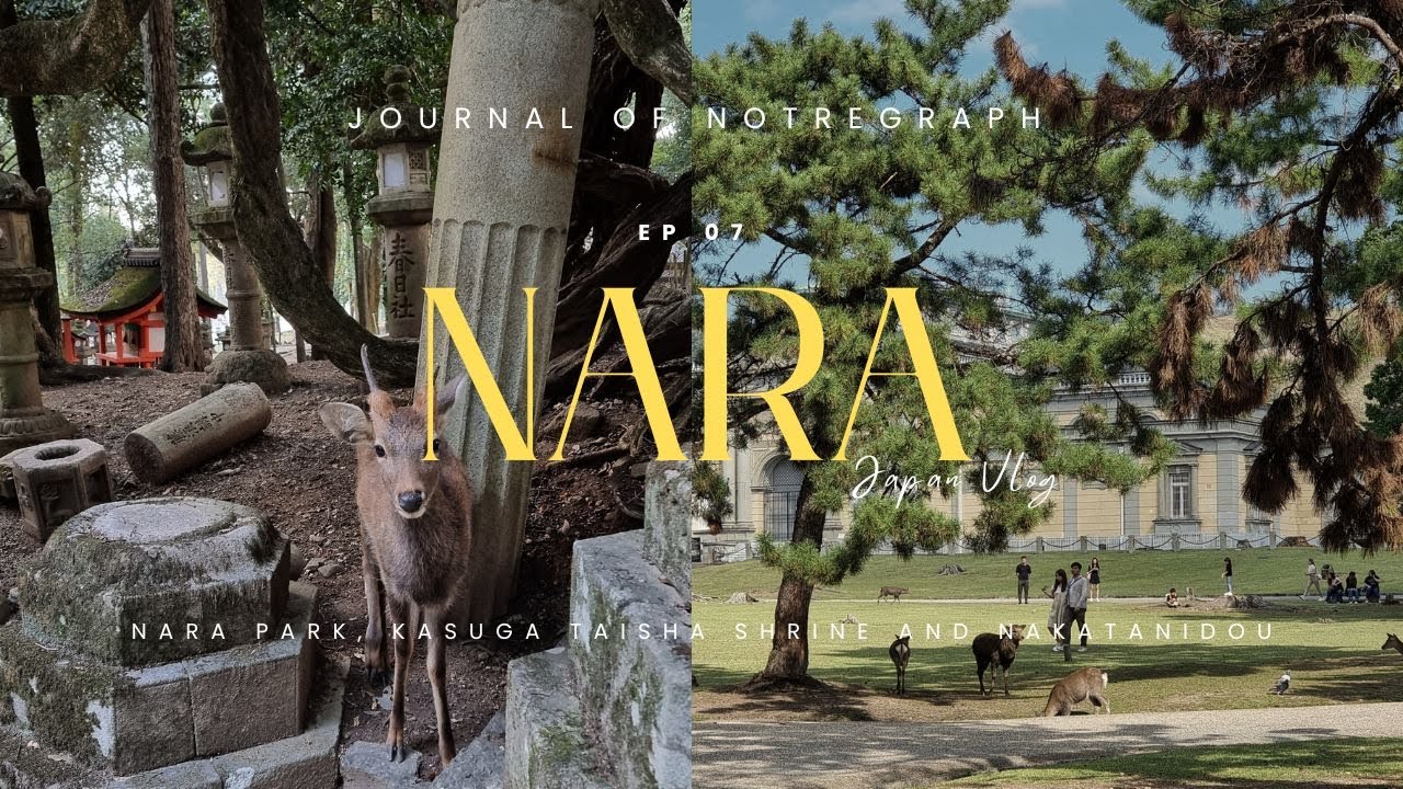 JAPAN EP07 | NARA - Daytrip to Nara Park, Kasuga Taisha Shrine, and Nakatanidou (Japanese Mochi)