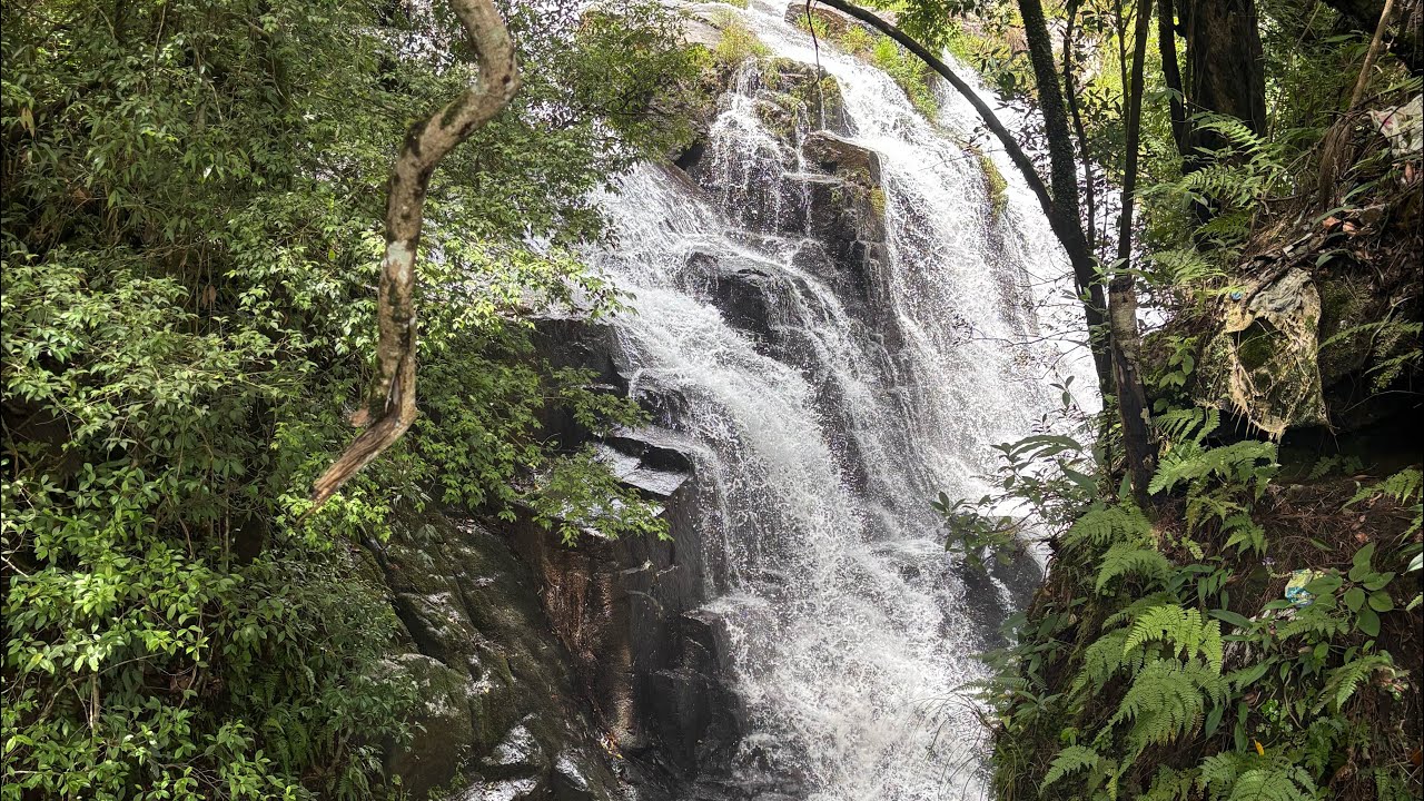 Tyrshi Falls Jowai Meghalaya | West Jaintia Hills | Waterfall in Meghalaya | Easy Hike Waterfall 