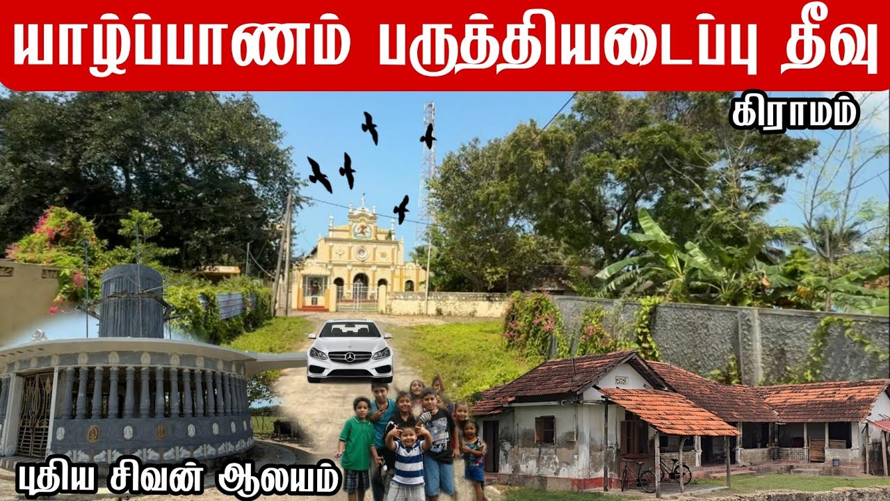 யாழ்ப்பாணம் பருத்தியடைப்பு தீவு கிராமம் Jaffna Cotton Island Village 