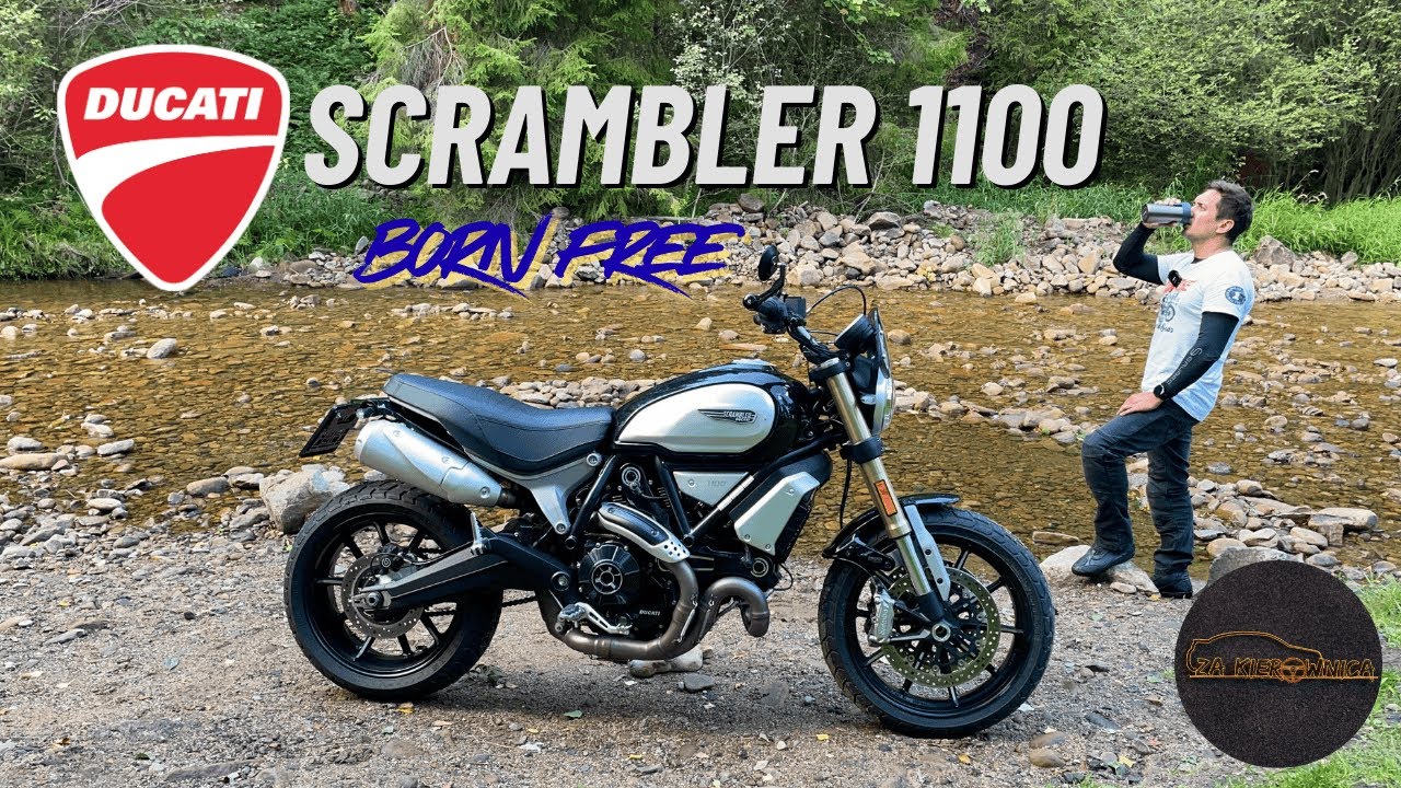 Ducati Scrambler 1100 - Born Free | Za kierownicą