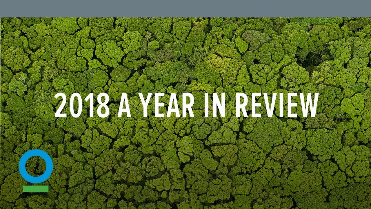 2018: A Year in Review