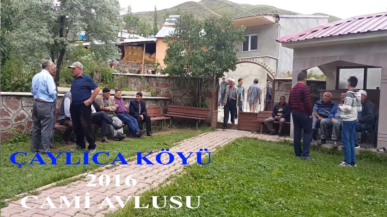 ÇAYLICA KÖYÜ (2016 - TEMMUZ)