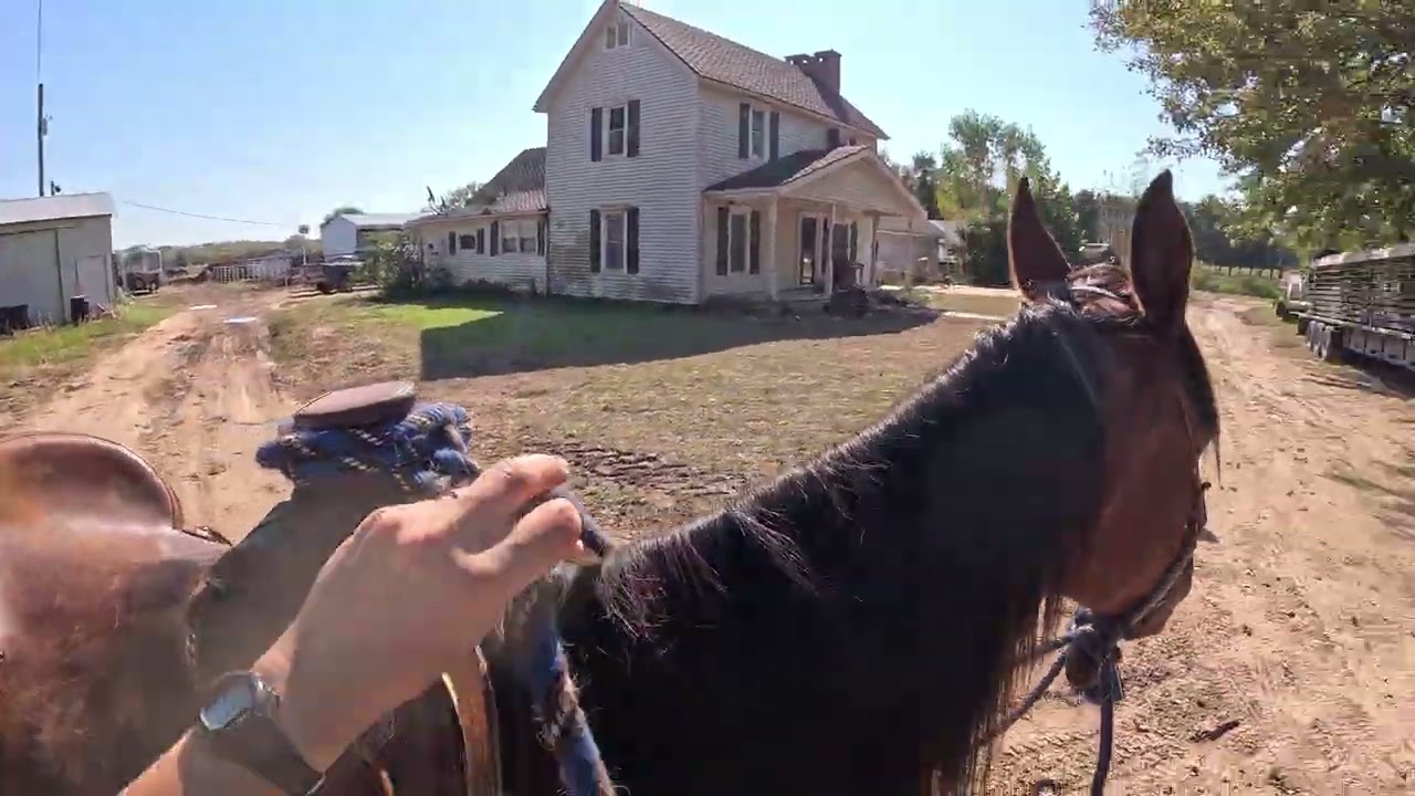 Ember moves out to the road—a short intro 10/10/25