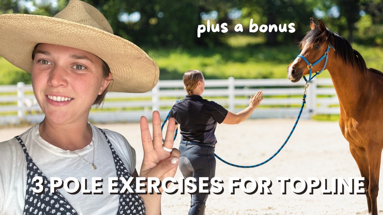 3 groundwork exercises for conditioning your horse