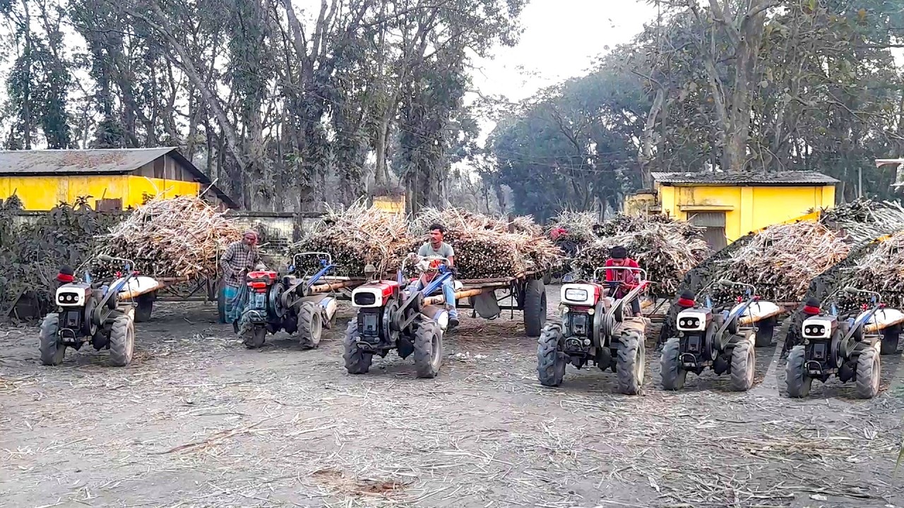 Rows of power tillers stand together at the sugar mill with full load #villagerlifestyle