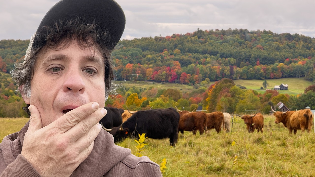 The Strange Reason My Hay Is So Cheap