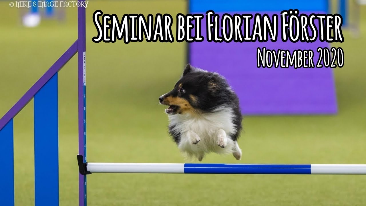 Seminar bei Florian Förster | November 2020