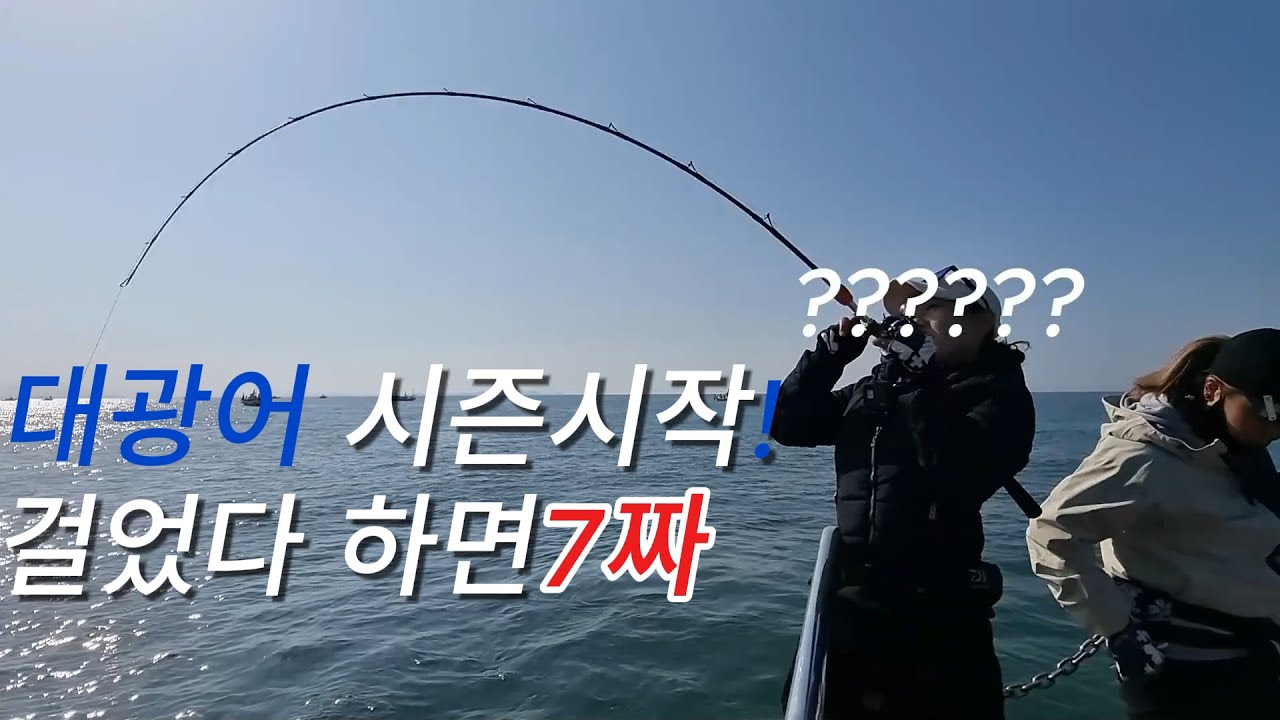 대광어 다운샷 사리때 단차이렇게 주니 4연타ㄷㄷ