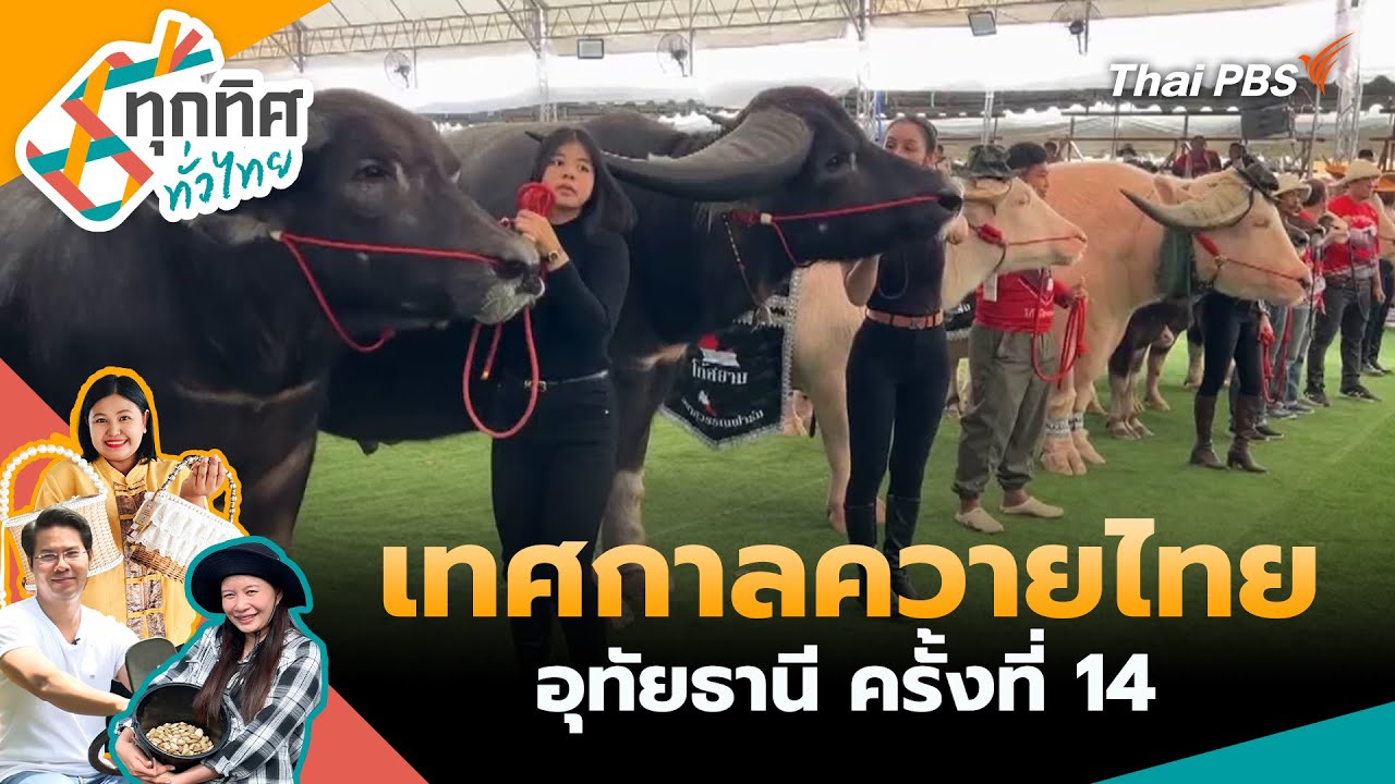 เทศกาลควายไทยอุทัยธานี ครั้งที่ 14 | ทุกทิศทั่วไทย | 30 ม.ค. 69