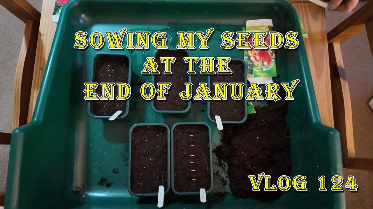 🌱 SOWING MY SEEDS AT THE END OF JANUARY 🌱 VLOG 124