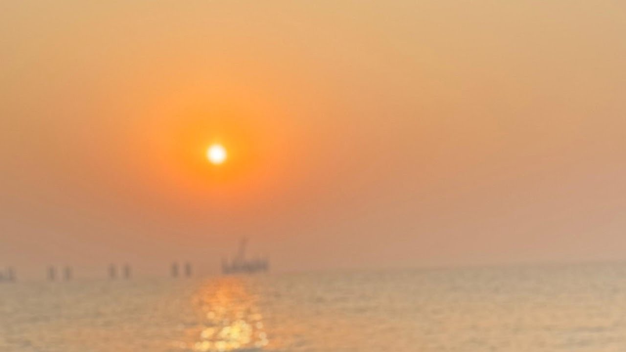 labrador puppy with mummy 💕 is live!