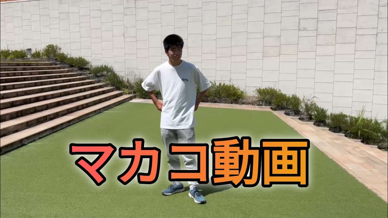 マカコの動画に成ります‼️