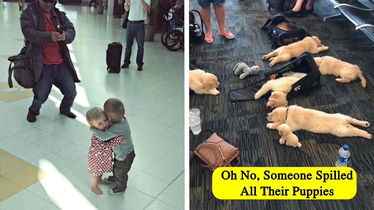 Times People Had To Look Twice To Understand What They Were Seeing At The Airport