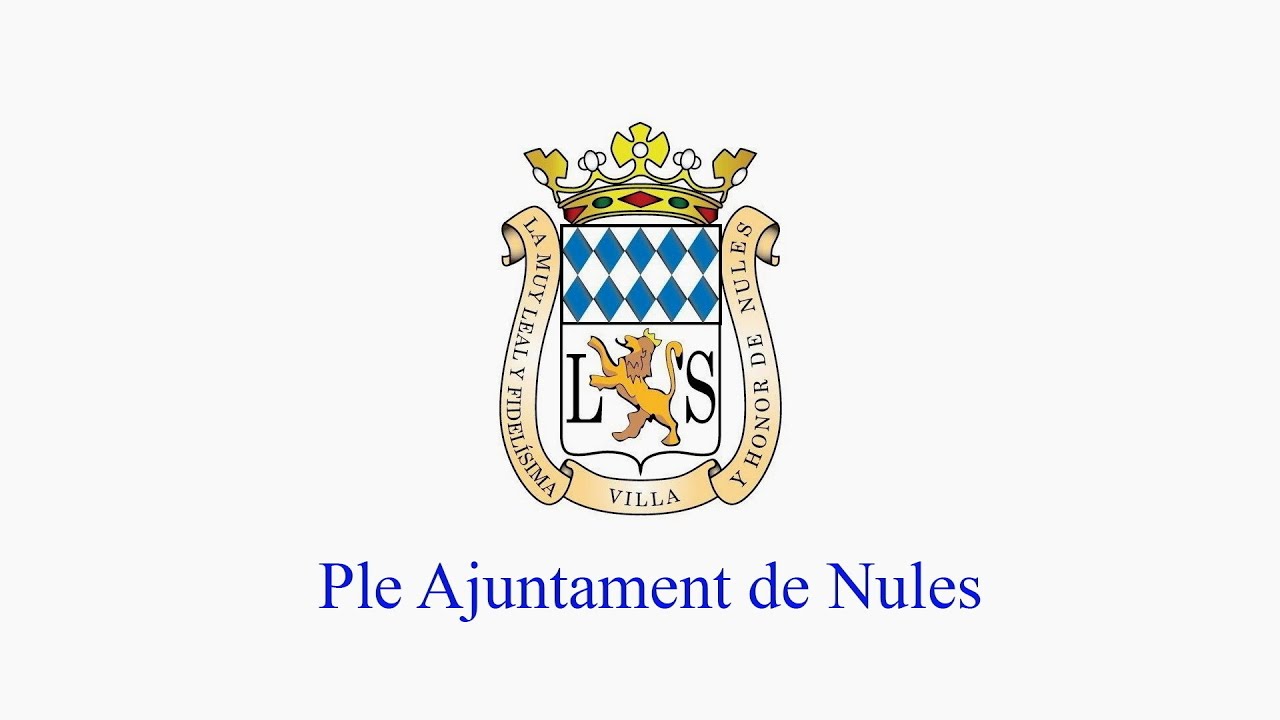PLENO ORDINARIO MES DE ENERO 2026
