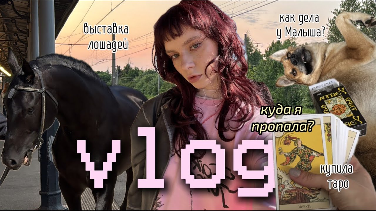 VLOG: расставание, иппосфера, таро, новый имидж, кредитки и собака из леса