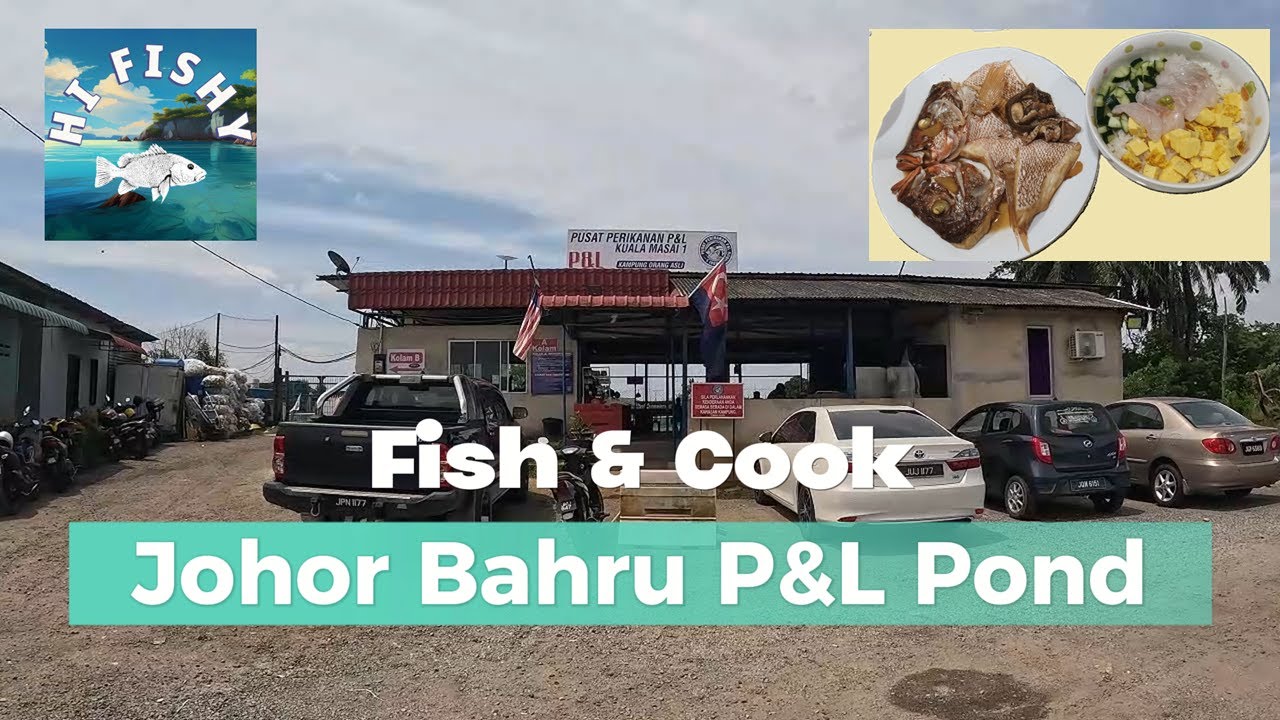 JB's MOST Highly Rated pond! - Eating the catch as Sashimi?!? / P&L 钓鱼池，新山最敢放鱼的鱼池！- 钓后煮