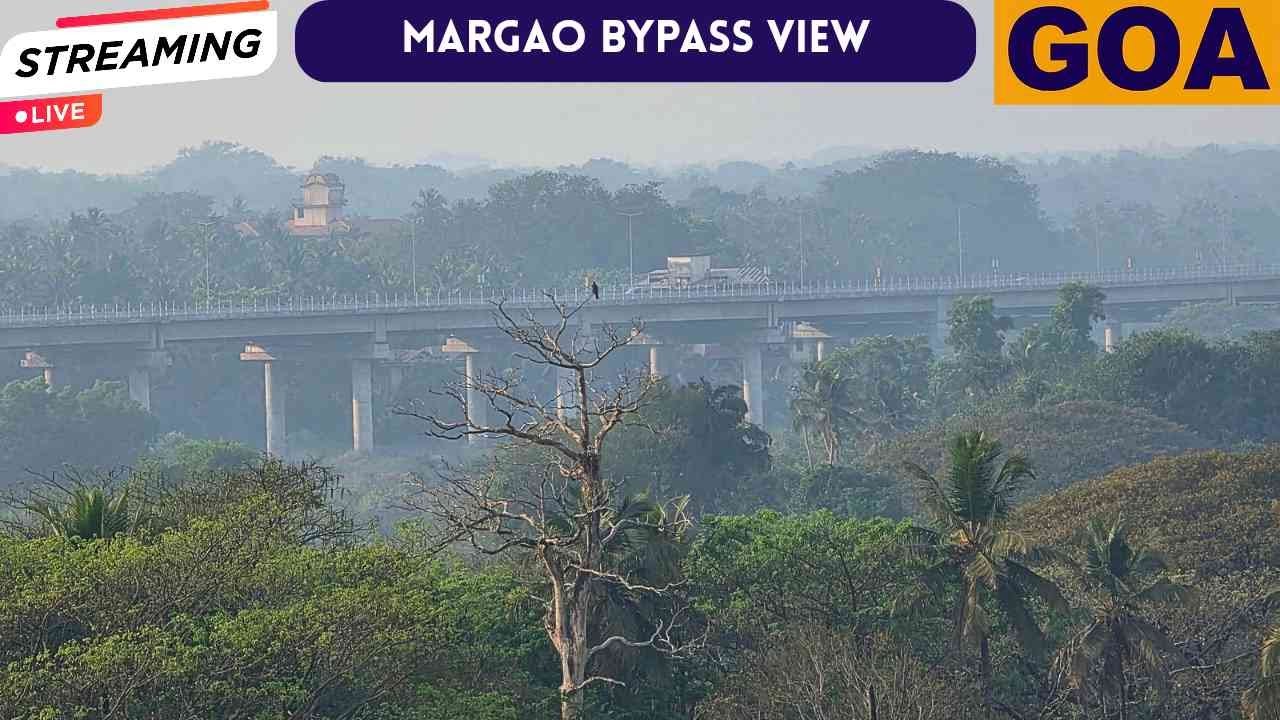 ​🔴 LIVE: Margao Bypass View Evening Time Nature Ambience
