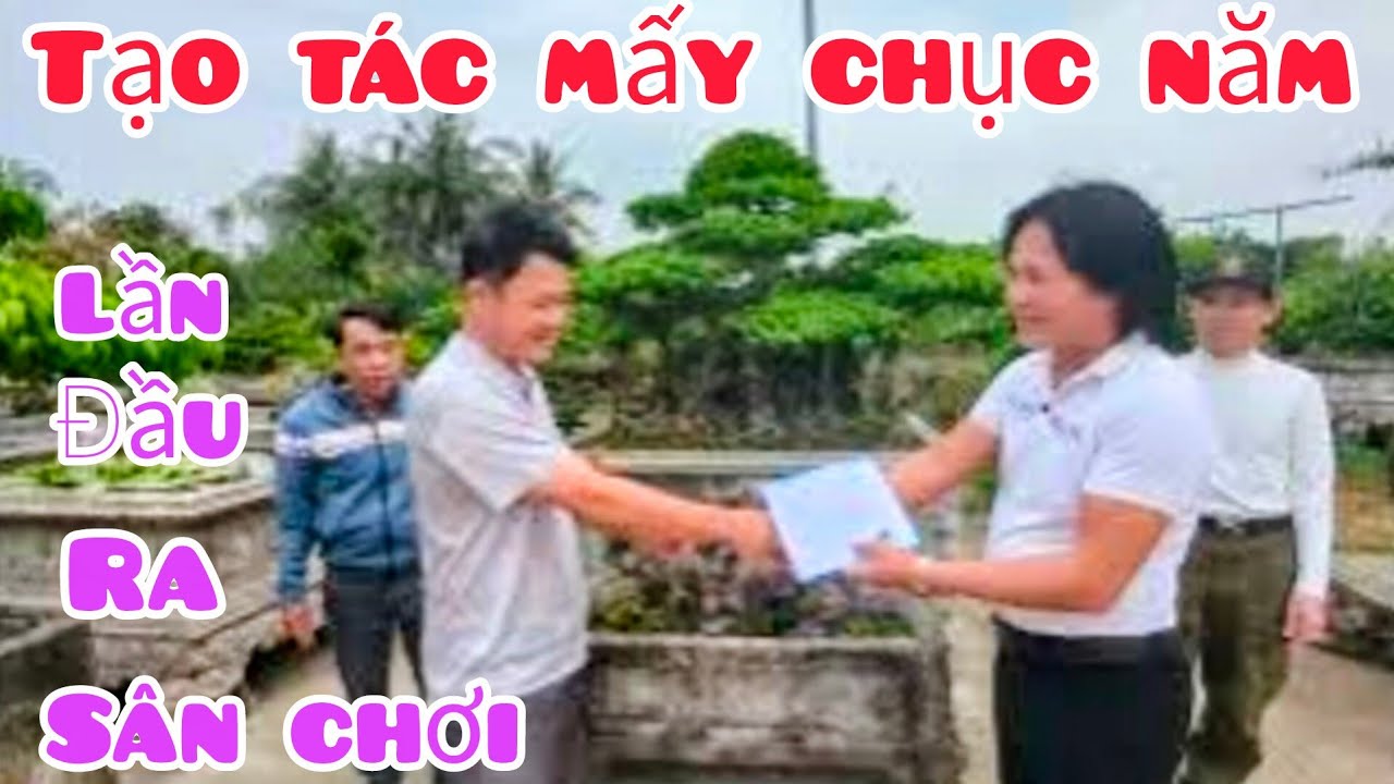 Cây xanh cổ lần đầu xuất hiện triển lãm Yên Mô Ninh Bình của Nhà vườn Tiến Ngân