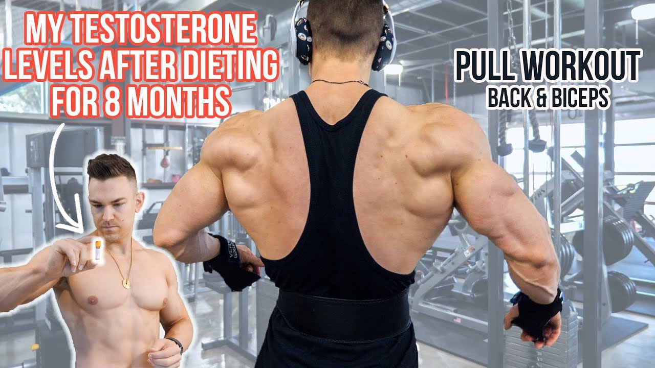 MY TEST LEVELS AFTER AN 8 MONTH CUT | PULL WORKOUT