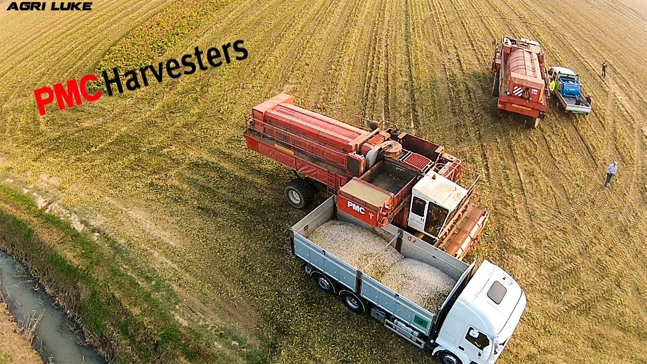 PMC 979 | Bean Harvest | Raccolta Fagioli Borlotti | Agritecnica