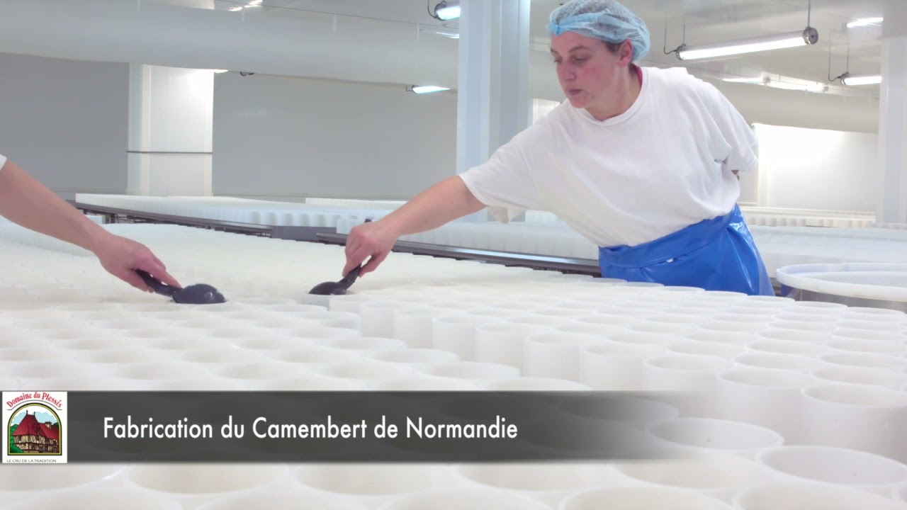 Présentation Fromagerie du Plessis - Fabrication du Camembert de Normandie AOP