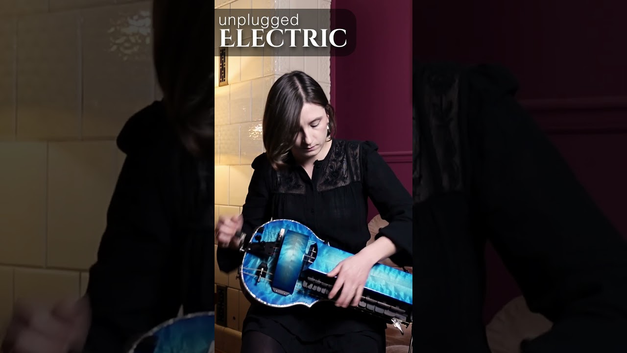 6 hurdy-gurdies in one video! #hurdygurdy