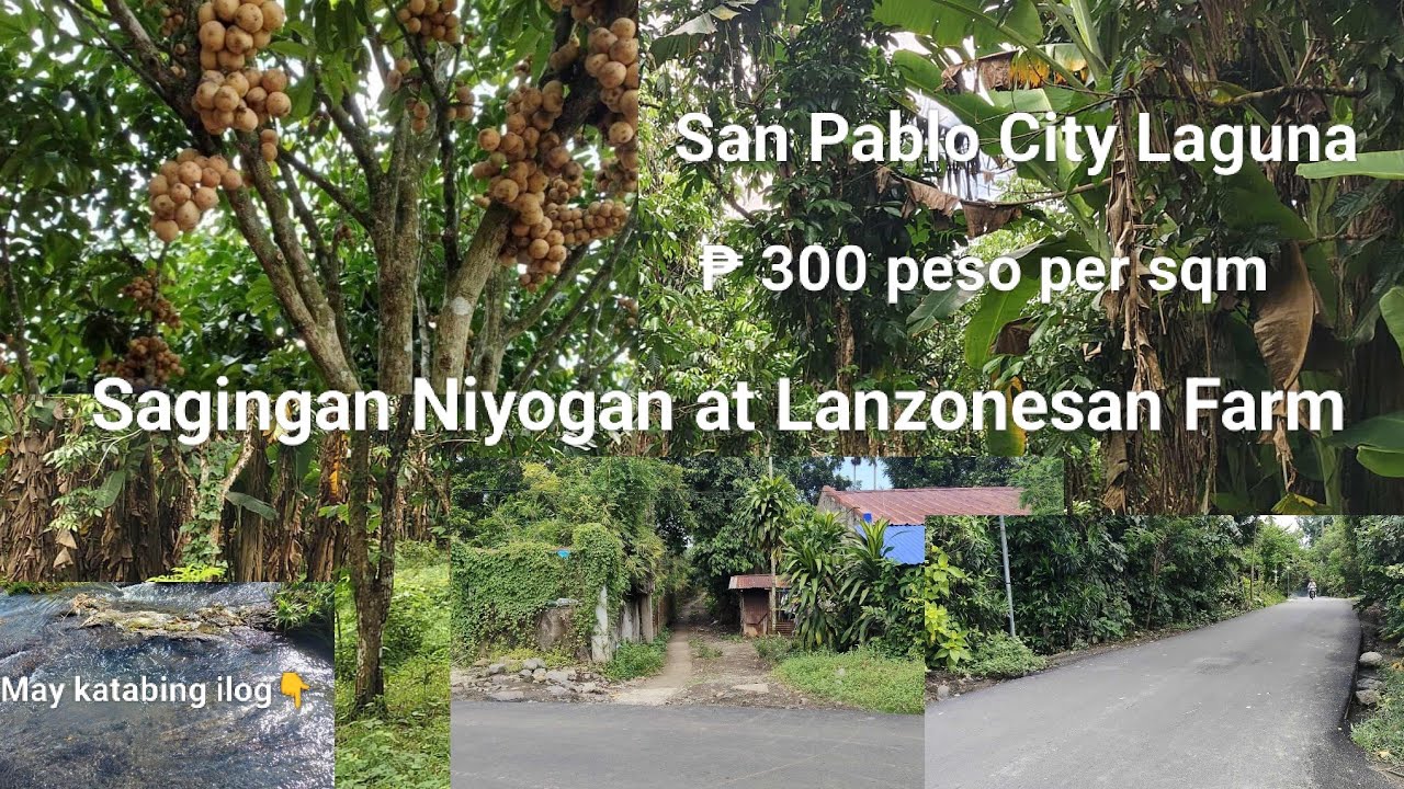 #Vlog375 FARM LOT TITLE FOR SALE ₱ 300 pesos per sqm | San Pablo City Laguna ❗SOLD ang 1.3 Hectares❗