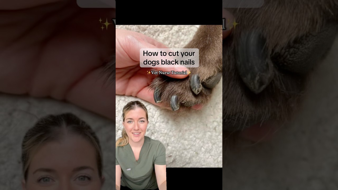 BLACK NAILS?! Here&rsquo;s how to safely trim them yourself