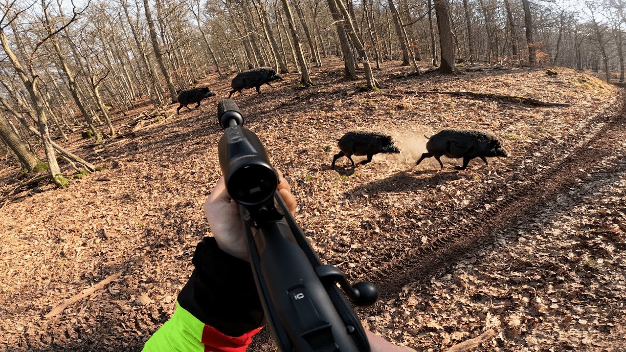 Letzte Drückjagd des Jahres | SPEKTAKULÄRE Sauenjagd! (Drückjagd mit Wärmebilddrohne)