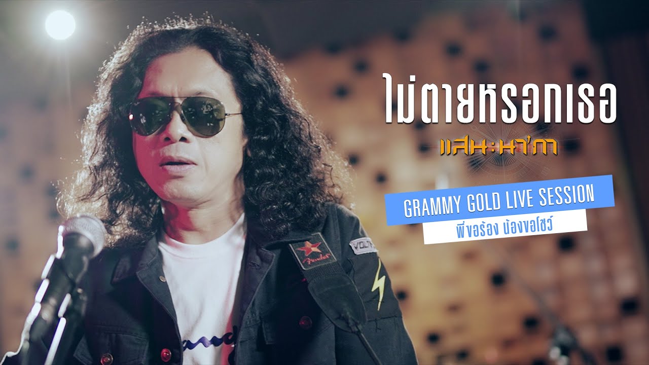 ไม่ตายหรอกเธอ - แสน นากา【LIVE SESSION】