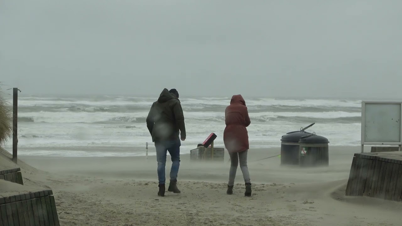 Windy Winter's Day at Henne Strand, Denmark